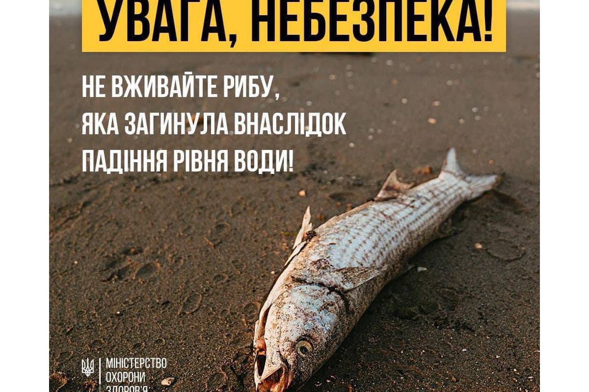 У МОЗ попередили про загрозу зараження ботулізмом через масовий мор риби У МОЗ попередили про загрозу зараження ботулізмом через масовий мор риби