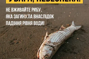 ​У МОЗ попередили про загрозу зараження ботулізмом через масовий мор риби