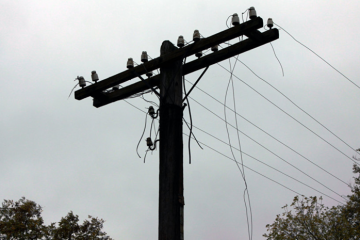 Через негоду без електропостачання залишилося 222 населених пункти Чернігівської області Через негоду без електропостачання залишилося 222 населених пункти Чернігівської області