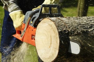 На Донеччині чоловіку, який незаконно пиляв дерева у полезахисній лісосмузі, загрожує до 3 років за ґратами На Донеччині чоловіку, який незаконно пиляв дерева у полезахисній лісосмузі, загрожує до 3 років за ґратами
