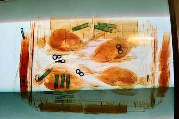 Жива знахідка в аеропорту «Бориспіль» Жива знахідка в аеропорту «Бориспіль»