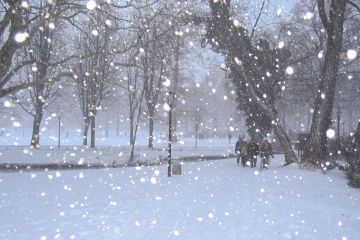 І знов зима посеред березня! В Дніпрі буде сильний вітер та сніг І знов зима посеред березня! В Дніпрі буде сильний вітер та сніг