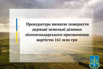 Прокуратура вимагає повернути державі земельні ділянки лісогосподарського призначення вартістю 161 млн грн Прокуратура вимагає повернути державі земельні ділянки лісогосподарського призначення вартістю 161 млн грн