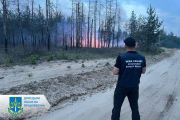 Окупанти підпалили лісовий масив у Лиманській ТГ – прокурори документують наслідки Окупанти підпалили лісовий масив у Лиманській ТГ – прокурори документують наслідки