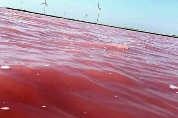 ЛИСТ З ОКУПАЦІЇ. ХЕРСОН ЛИСТ З ОКУПАЦІЇ. ХЕРСОН