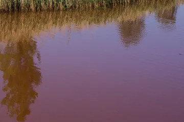 ​Прокуратура вимагає від криворізького підприємства відшкодування збитків за забруднення річки Інгулець