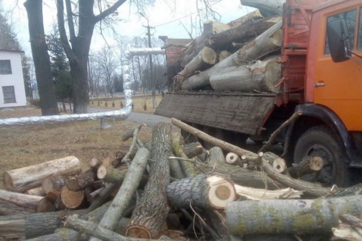Вінничани заготували дрова для сільського ліцею Вінничани заготували дрова для сільського ліцею