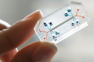 МОН повідомило про конкурс з біомолекулярної електроніки МОН повідомило про конкурс з біомолекулярної електроніки