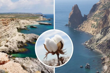 У Севастополі – "бавовна": гауляйтери кажуть про "невідомий безпілотник" У Севастополі – "бавовна": гауляйтери кажуть про "невідомий безпілотник"