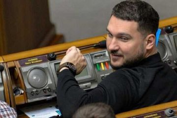 Маєток для Халімона: САП розслідує справу щодо нардепа-"слуги" Маєток для Халімона: САП розслідує справу щодо нардепа-"слуги"