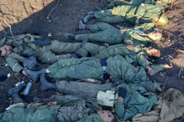 Російське вторгнення в Україну : «Родина тебя бросит»: У селі під Харковом знайшли братську могилу загарбників Російське вторгнення в Україну : «Родина тебя бросит»: У селі під Харковом знайшли братську могилу загарбників