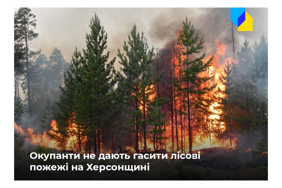 Російське вторгнення в Україну : На тимчасово окупованій Херсонщині горять ліси Російське вторгнення в Україну : На тимчасово окупованій Херсонщині горять ліси