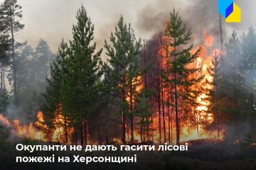 Російське вторгнення в Україну : На тимчасово окупованій Херсонщині горять ліси Російське вторгнення в Україну : На тимчасово окупованій Херсонщині горять ліси