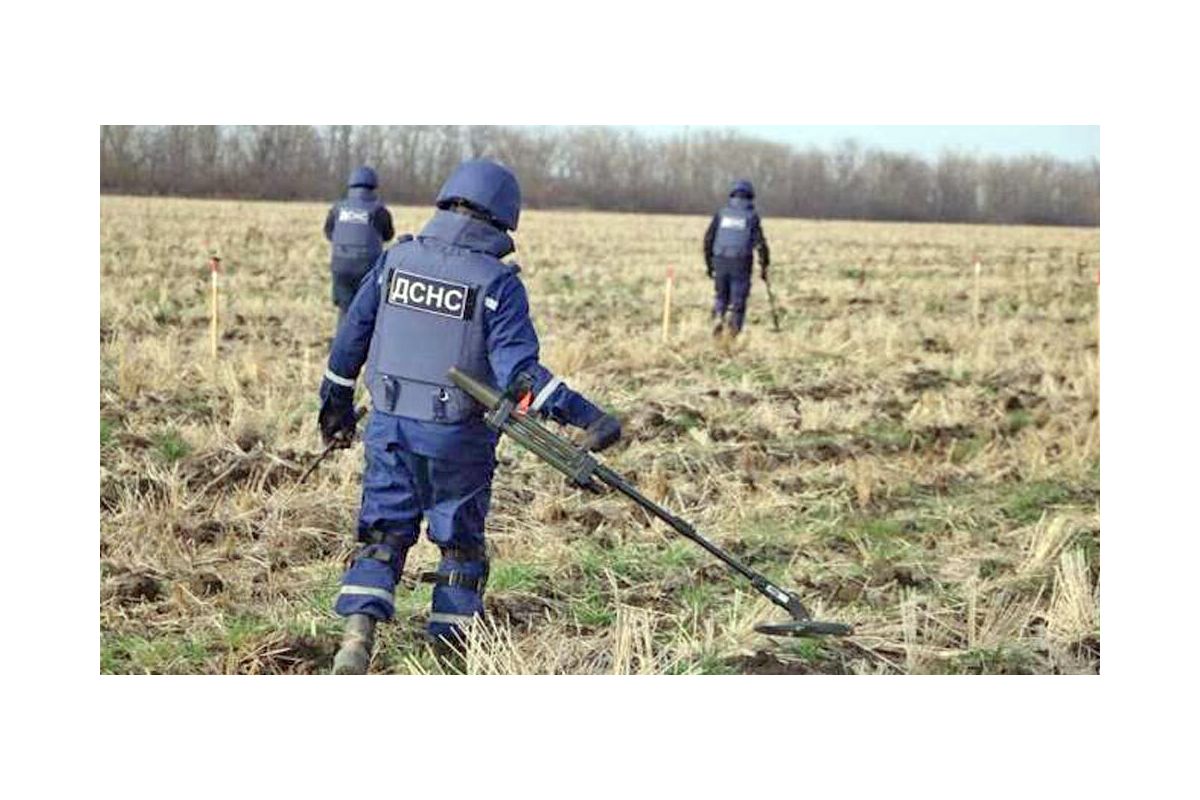 Понад 156,6 тис га землі повернули до використання Понад 156,6 тис га землі повернули до використання