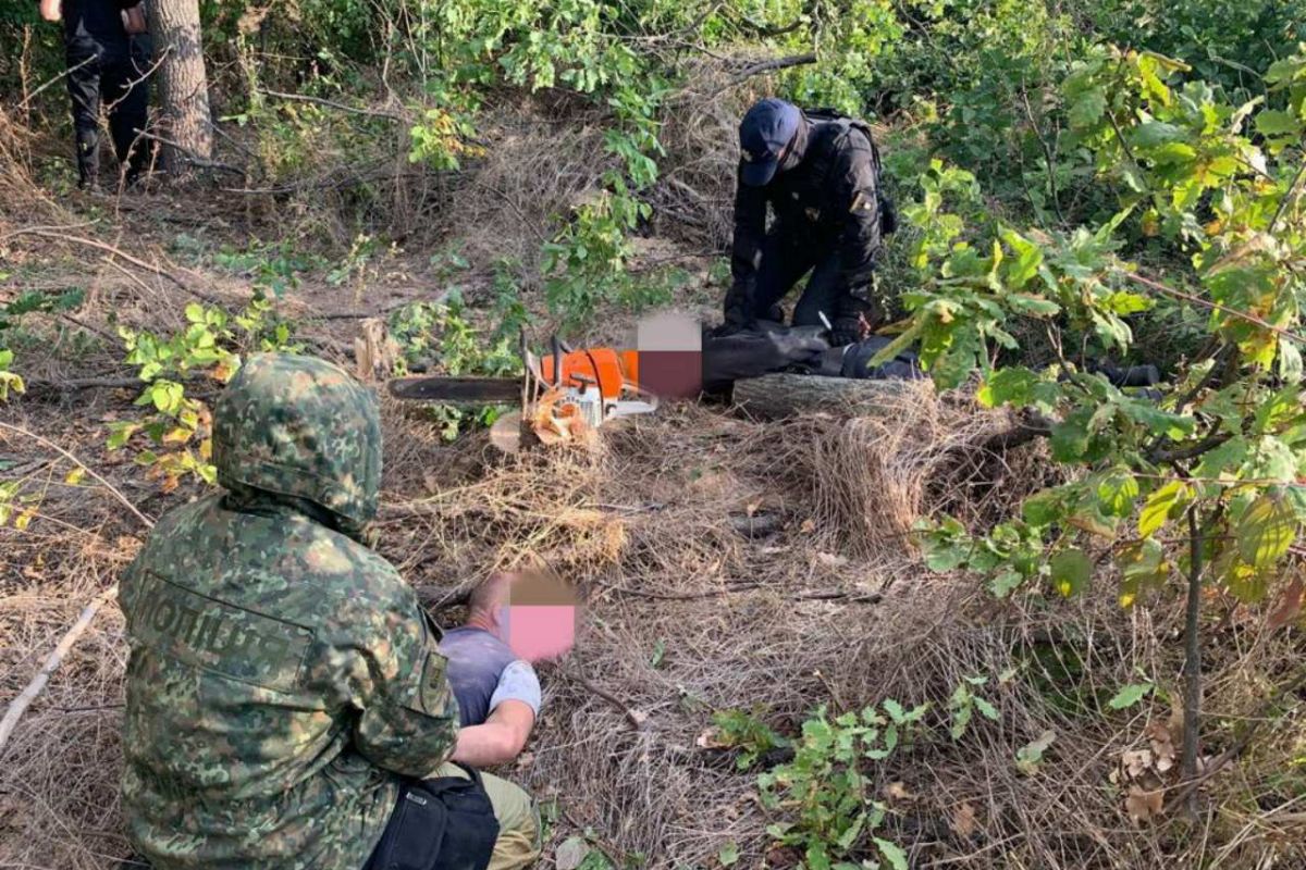 У Маріуполі викрито п’ятьох осіб, які незаконною порубкою дерев спричинили державі шкоду на суму понад 1 млн грн У Маріуполі викрито п’ятьох осіб, які незаконною порубкою дерев спричинили державі шкоду на суму понад 1 млн грн