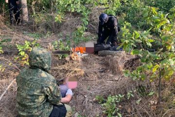 У Маріуполі викрито п’ятьох осіб, які незаконною порубкою дерев спричинили державі шкоду на суму понад 1 млн грн У Маріуполі викрито п’ятьох осіб, які незаконною порубкою дерев спричинили державі шкоду на суму понад 1 млн грн