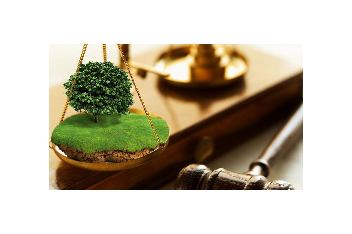 Прокуратура встала на захист інтересів держави в питанні повернення навчальному закладу прав на користування землею Прокуратура встала на захист інтересів держави в питанні повернення навчальному закладу прав на користування землею