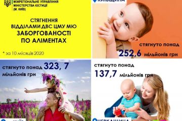 Результати роботи державної виконавчої служби у напрямку стягнення аліментів станом на 1 листопада Результати роботи державної виконавчої служби у напрямку стягнення аліментів станом на 1 листопада
