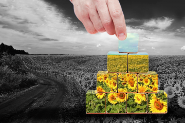 Рекомендації для ефективної відбудови України від міжнародної групи економістів Рекомендації для ефективної відбудови України від міжнародної групи економістів