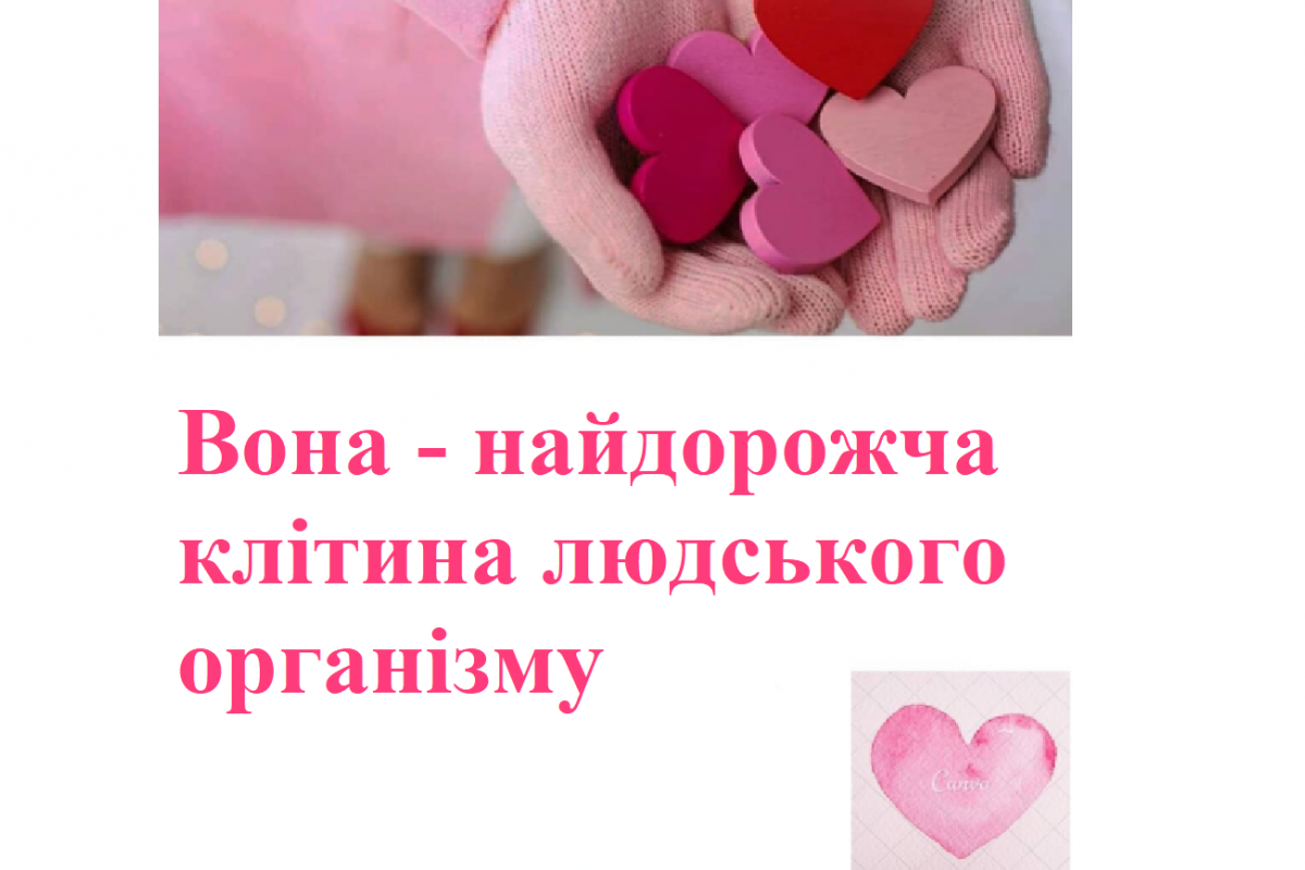 Вона - найдорожча клітина людського організму Вона - найдорожча клітина людського організму