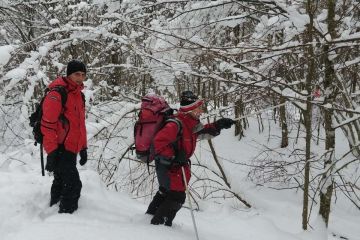 Пошуки завершено: дівчат, яких шукали вночі, знайдено! Пошуки завершено: дівчат, яких шукали вночі, знайдено!
