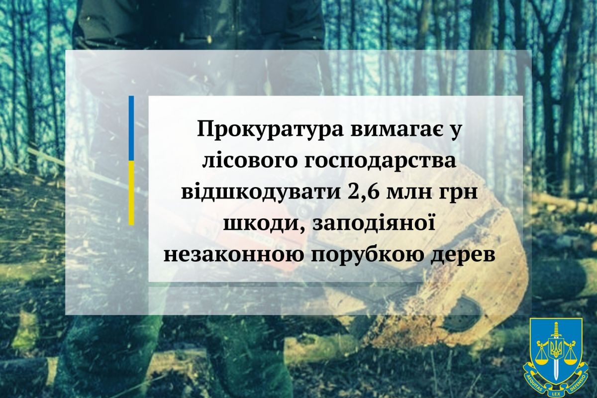 Прокуратура вимагає у лісового господарства відшкодувати 2,6 млн грн шкоди, заподіяної незаконною порубкою дерев Прокуратура вимагає у лісового господарства відшкодувати 2,6 млн грн шкоди, заподіяної незаконною порубкою дерев