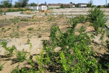 Змагання обласних чиновників у чемпіонаті з корупції Змагання обласних чиновників у чемпіонаті з корупції