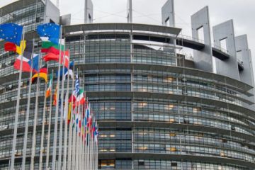 Європарламент планує створити керівну групу для просування мирного процесу в Україні Європарламент планує створити керівну групу для просування мирного процесу в Україні