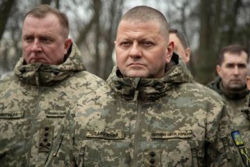 12 населених пунктів звільнили ЗСУ на Херсонщині протягом 9 листопада - Головнокомандувач ЗСУ Валерій Залужний 12 населених пунктів звільнили ЗСУ на Херсонщині протягом 9 листопада - Головнокомандувач ЗСУ Валерій Залужний