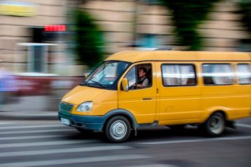 Підлітки знову в дії - цього разу пістолет Підлітки знову в дії - цього разу пістолет