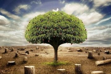 «Лицензия на убийство» украинского леса № 4197-д это еще один признак агонии существующей государственной модели, прогнившей, антинародной и безнадежно постсоветской «Лицензия на убийство» украинского леса № 4197-д это еще один признак агонии существующей государственной модели, прогнившей, антинародной и безнадежно постсоветской