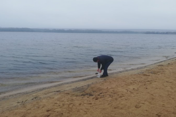 Проведено обстеження узбережжя річки Південний Буг Проведено обстеження узбережжя річки Південний Буг