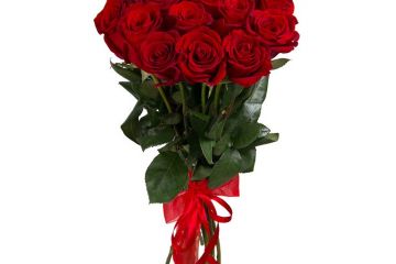 Красные Розы Красные Розы