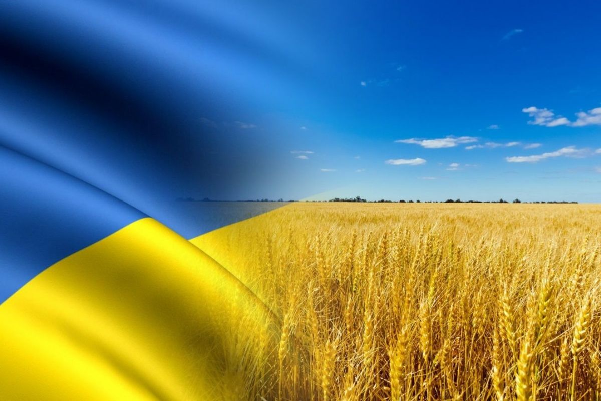 Україні важливо наладити стосунки з усіма партнерами. Чому надіслати допомогу Туреччині — чудовий дипломатичний крок? Україні важливо наладити стосунки з усіма партнерами. Чому надіслати допомогу Туреччині — чудовий дипломатичний крок?
