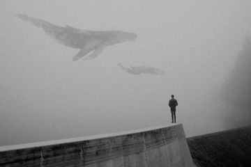 Як вберегти дитину від тих, хто намагається її втягти до “групи смерті”? Як вберегти дитину від тих, хто намагається її втягти до “групи смерті”?