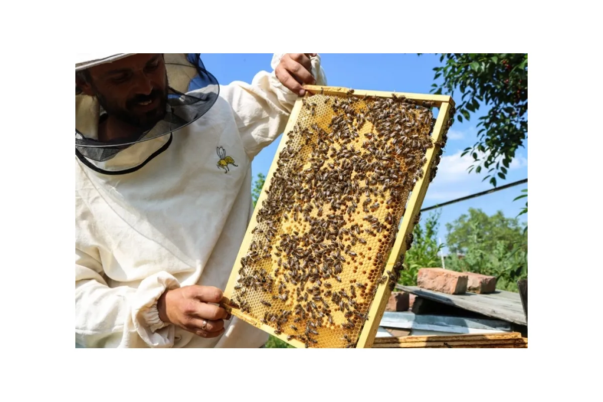 У столиці закликали захищати бджіл