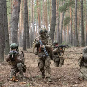 ​115 бригада ЗСУ: Навчання підрозділів піхоти у лісистій місцевості
