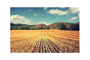 Завдяки вжитим прокуратурою заходам, державі повернуто земельні ділянки вартістю понад 1 млн грн Завдяки вжитим прокуратурою заходам, державі повернуто земельні ділянки вартістю понад 1 млн грн