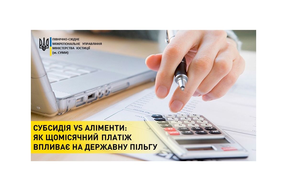 Субсидія vs аліменти: як щомісячний платіж впливає на державну пільгу Субсидія vs аліменти: як щомісячний платіж впливає на державну пільгу