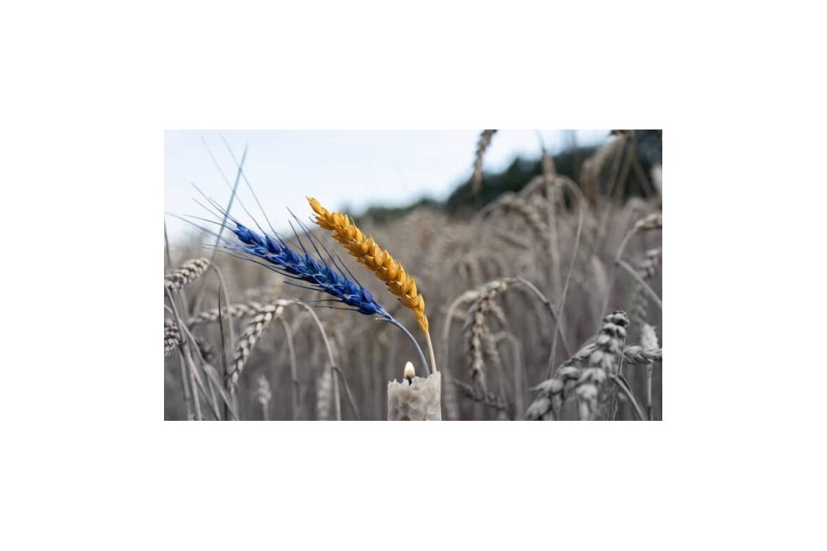 Світовий Конгрес Українців про 90-річчя Голодомору Світовий Конгрес Українців про 90-річчя Голодомору