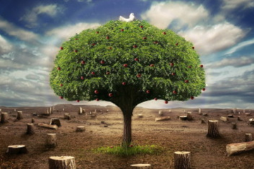 «Лицензия на убийство» украинского леса № 4197-д это еще один признак агонии существующей государственной модели, прогнившей, антинародной и безнадежно постсоветской «Лицензия на убийство» украинского леса № 4197-д это еще один признак агонии существующей государственной модели, прогнившей, антинародной и безнадежно постсоветской