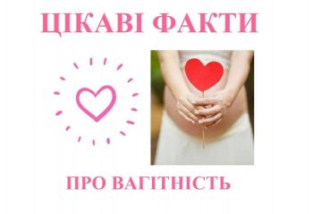 Цікаві факти про вагітність  Цікаві факти про вагітність