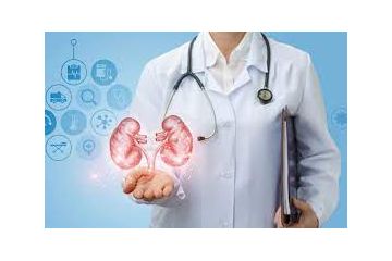 Уролог Київ. Сечокам'яна хвороба Уролог Київ. Сечокам'яна хвороба