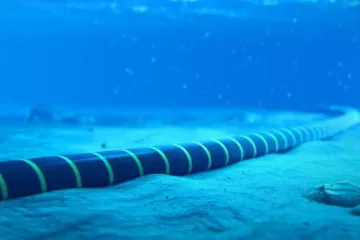 ​Євросоюз планує прокласти підводний інтернет-кабель у Чорному морі, щоб зменшити залежність від рф, – Financial Times