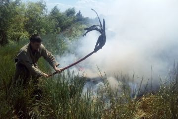 За минулу добу на територіях Херсонської області зафіксовано 10 випадків загоряння сухостою та сміття За минулу добу на територіях Херсонської області зафіксовано 10 випадків загоряння сухостою та сміття