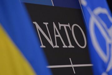 Ядерний удар з боку рф по Україні призведе до фізичної відповіді НАТО Ядерний удар з боку рф по Україні призведе до фізичної відповіді НАТО