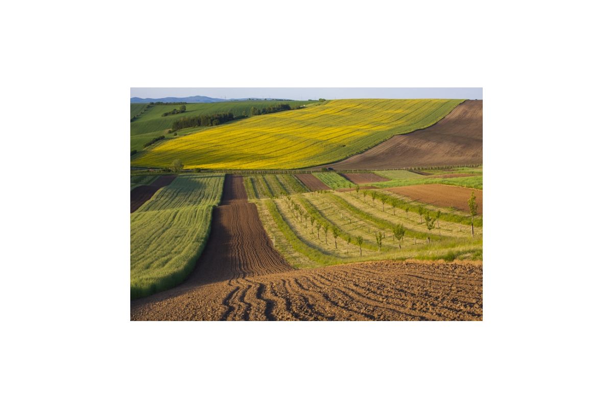 На Донеччині за втручання прокуратури територіальній громаді повернуто земельну ділянку вартістю понад півмільйона гривень На Донеччині за втручання прокуратури територіальній громаді повернуто земельну ділянку вартістю понад півмільйона гривень