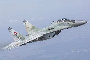 Словаччина планує передати Україні свої винищувачі МіГ-29, приготування для цього можуть початися найближчими тижнями Словаччина планує передати Україні свої винищувачі МіГ-29, приготування для цього можуть початися найближчими тижнями