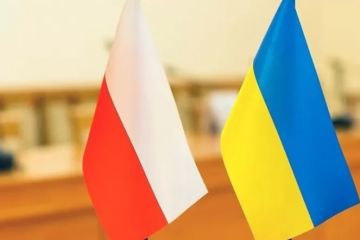 У ЄС хочуть обговорити гарантії безпеки для росії: Польща зробила гучну заяву У ЄС хочуть обговорити гарантії безпеки для росії: Польща зробила гучну заяву