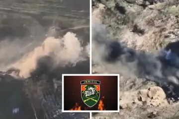 ​71-а бригада знищила позиції рф під Бахмутом на Донеччині: кадри бою (відео)